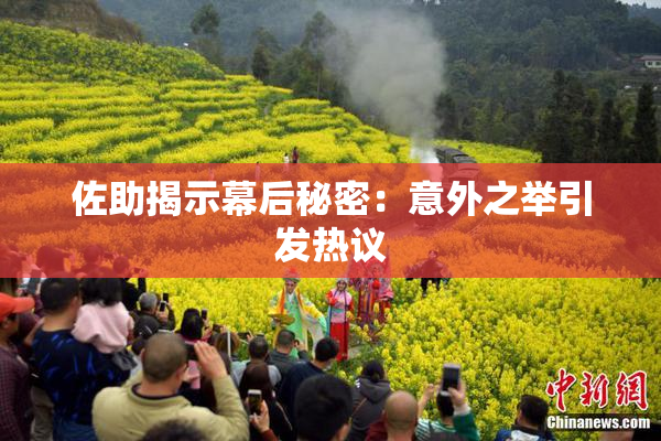 佐助揭示幕后秘密：意外之举引发热议