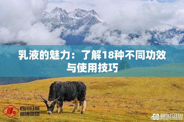 乳液的魅力：了解18种不同功效与使用技巧