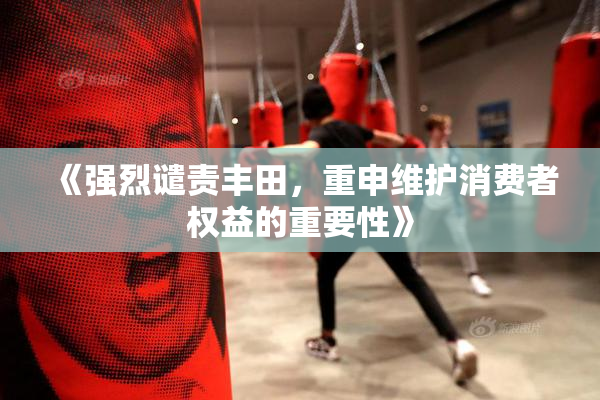 《强烈谴责丰田，重申维护消费者权益的重要性》