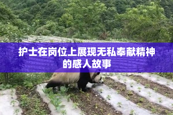 护士在岗位上展现无私奉献精神的感人故事