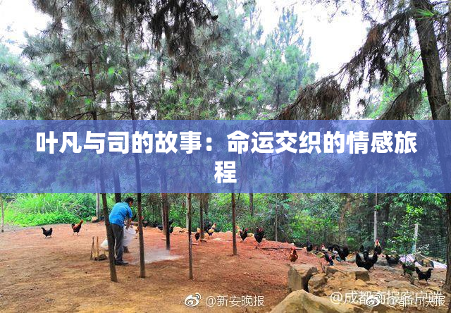 叶凡与司的故事：命运交织的情感旅程
