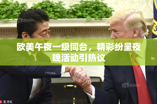 欧美午夜一级同台，精彩纷呈夜晚活动引热议