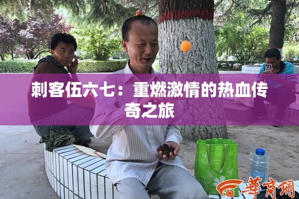 刺客伍六七：重燃激情的热血传奇之旅