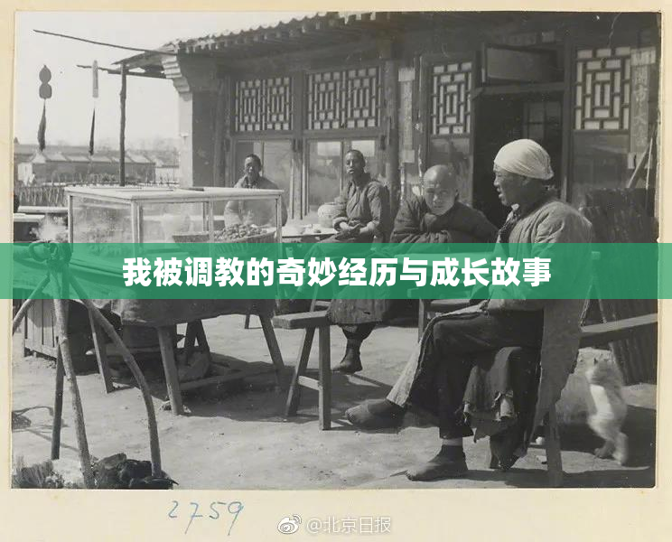 我被调教的奇妙经历与成长故事
