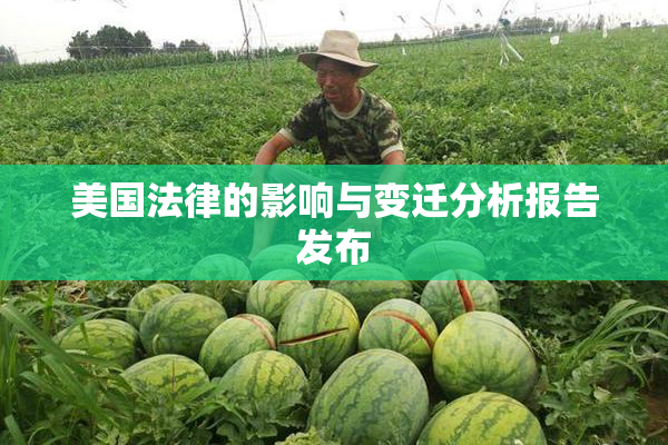 美国法律的影响与变迁分析报告发布