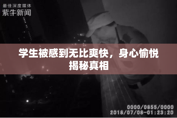 学生被感到无比爽快，身心愉悦揭秘真相