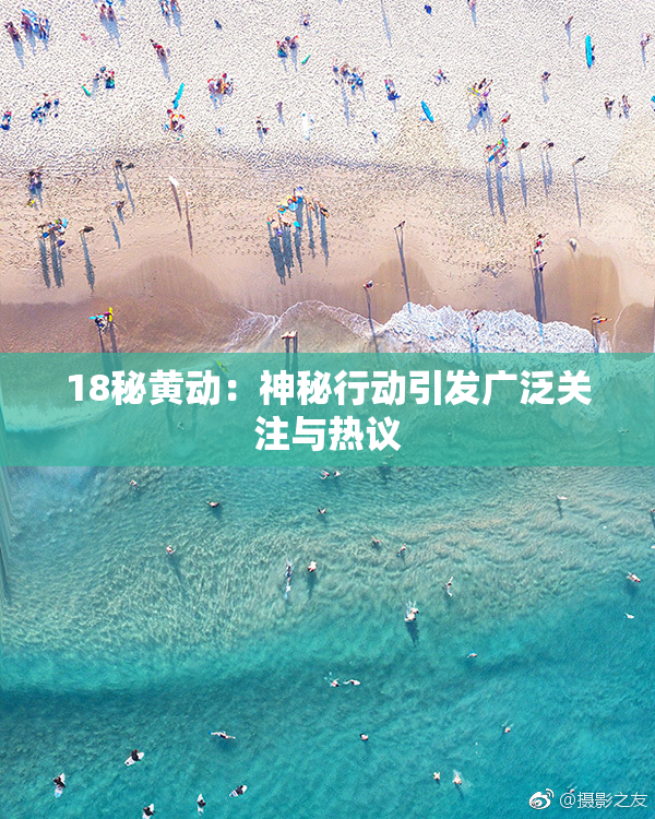 18秘黄动：神秘行动引发广泛关注与热议
