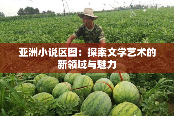 亚洲小说区图：探索文学艺术的新领域与魅力