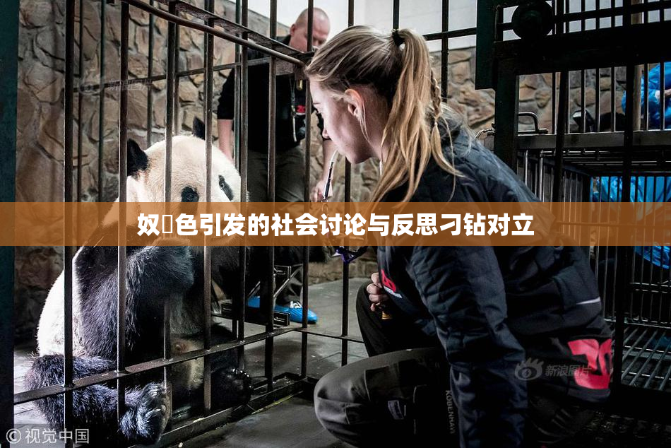 奴隷色引发的社会讨论与反思刁钻对立