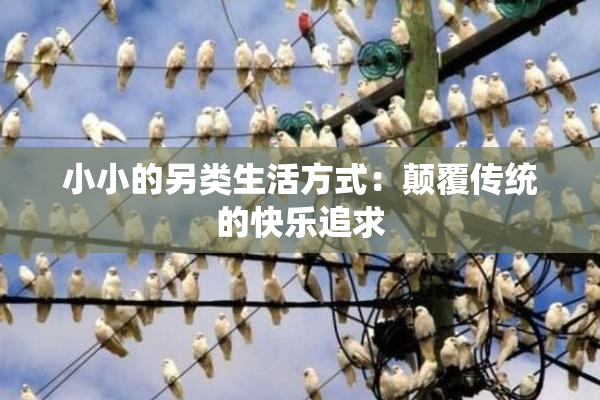 小小的另类生活方式：颠覆传统的快乐追求