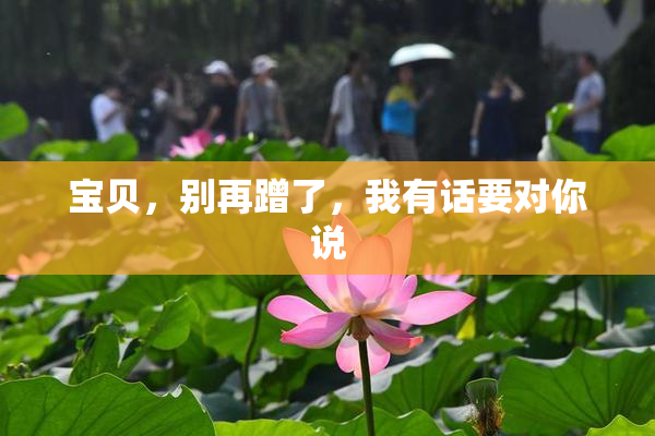 宝贝，别再蹭了，我有话要对你说