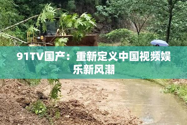 91TV国产：重新定义中国视频娱乐新风潮