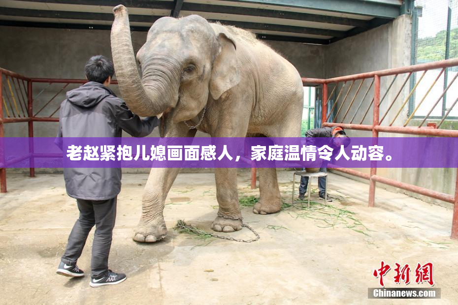 老赵紧抱儿媳画面感人，家庭温情令人动容。