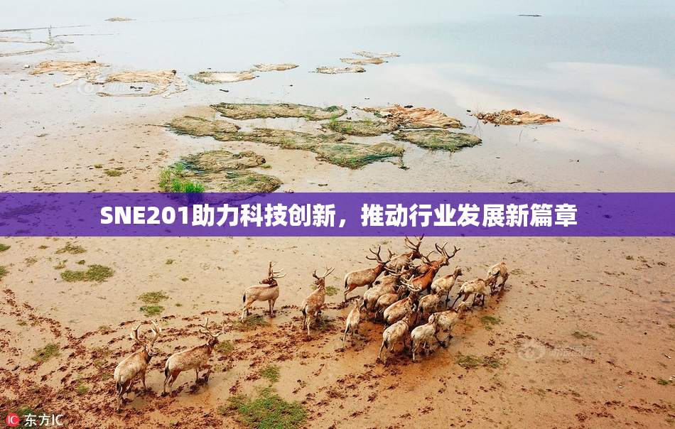 SNE201助力科技创新，推动行业发展新篇章