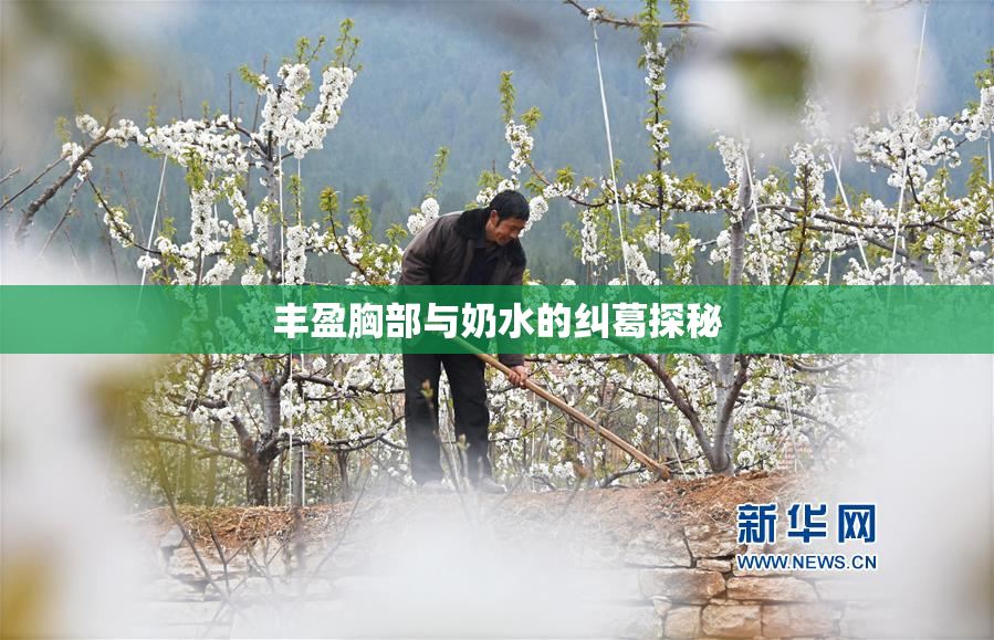 丰盈胸部与奶水的纠葛探秘