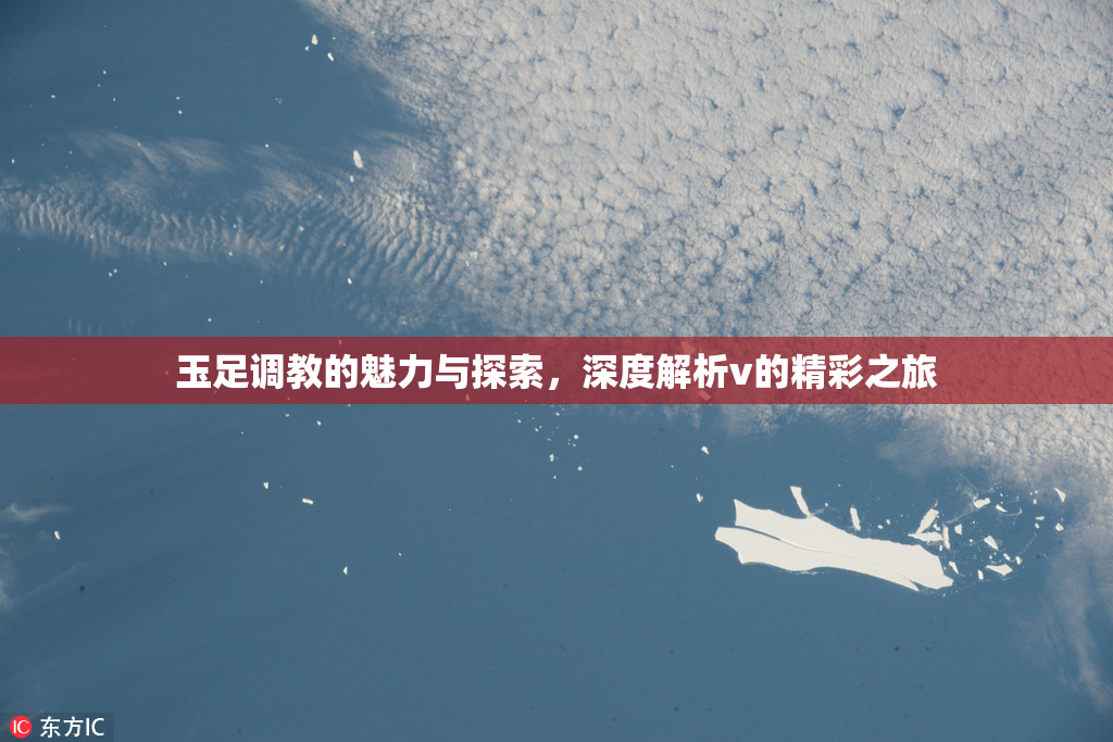 玉足调教的魅力与探索，深度解析v的精彩之旅