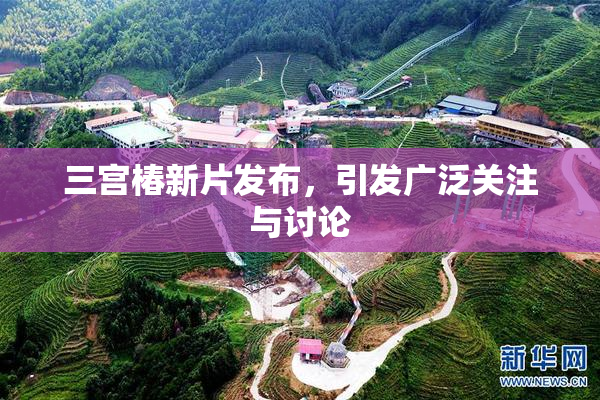 三宫椿新片发布，引发广泛关注与讨论