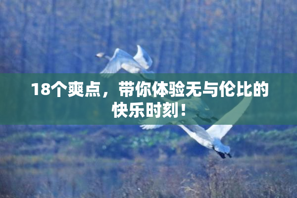 18个爽点，带你体验无与伦比的快乐时刻！