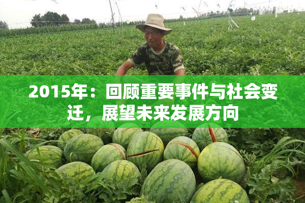 2015年：回顾重要事件与社会变迁，展望未来发展方向