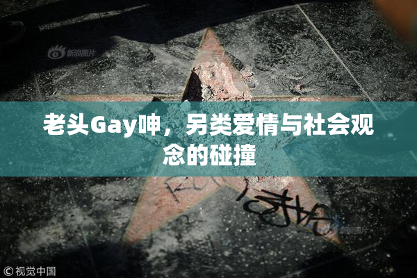 老头Gay呻，另类爱情与社会观念的碰撞