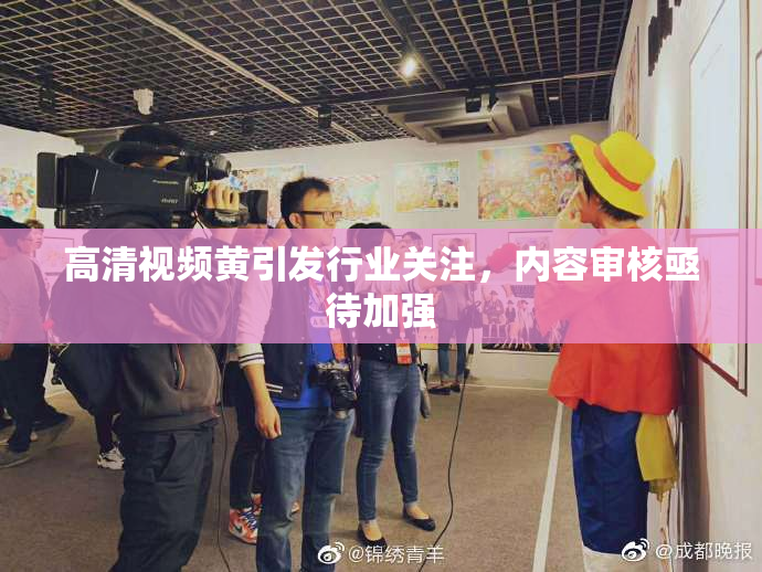 高清视频黄引发行业关注，内容审核亟待加强