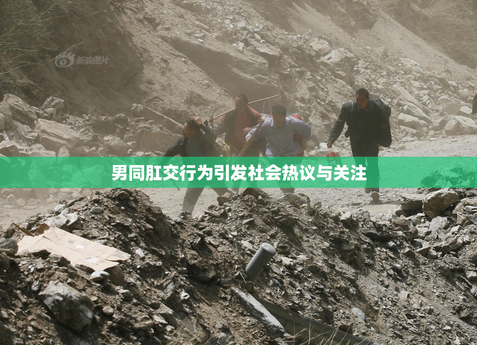 男同肛交行为引发社会热议与关注
