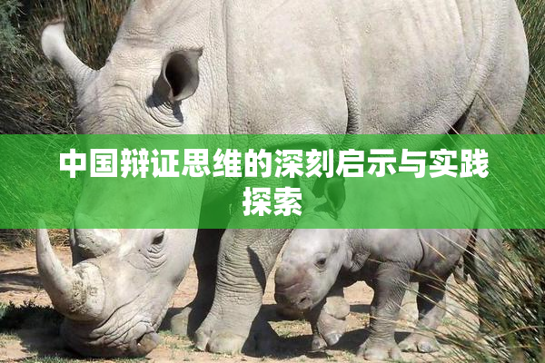 中国辩证思维的深刻启示与实践探索
