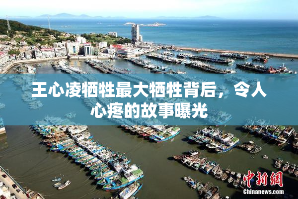 王心凌牺牲最大牺牲背后，令人心疼的故事曝光