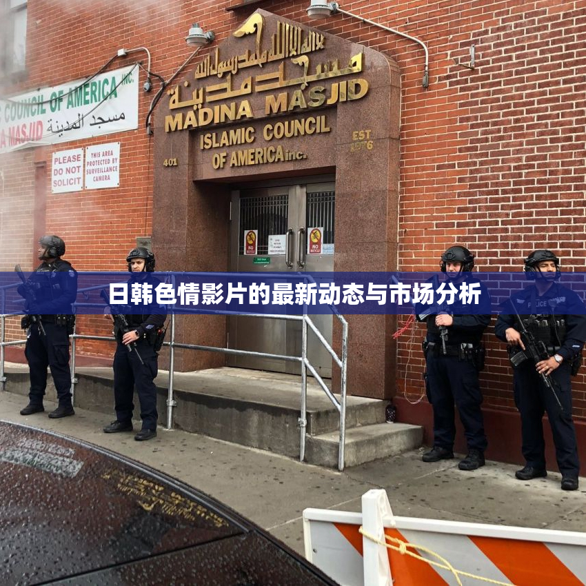 日韩色情影片的最新动态与市场分析