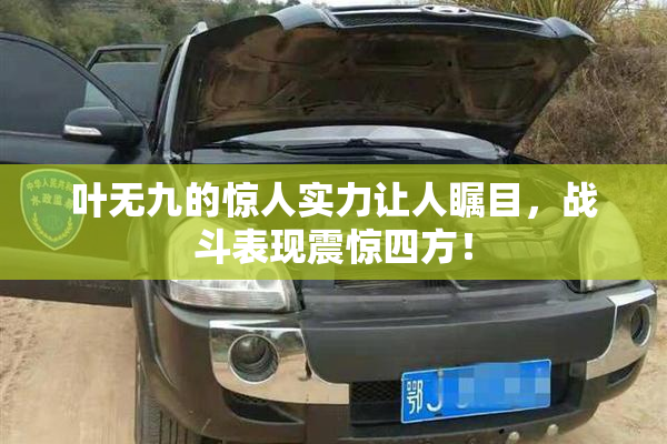叶无九的惊人实力让人瞩目，战斗表现震惊四方！
