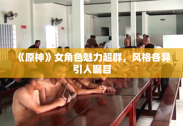 《原神》女角色魅力超群，风格各异引人瞩目