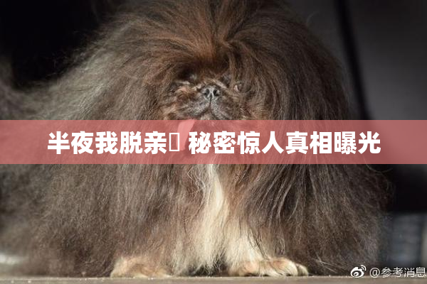 半夜我脱亲妺 秘密惊人真相曝光