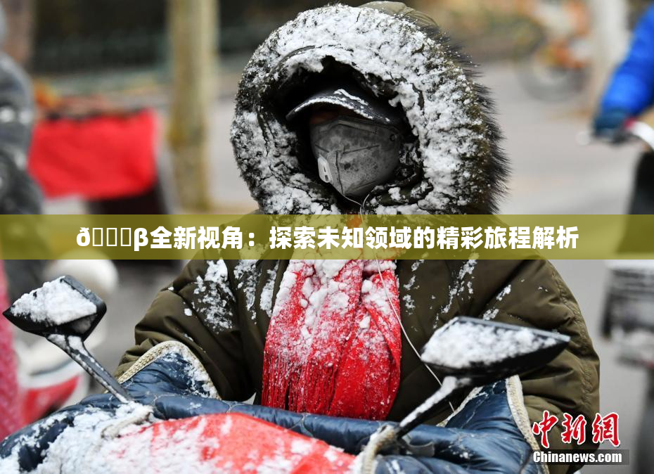 👙β全新视角：探索未知领域的精彩旅程解析