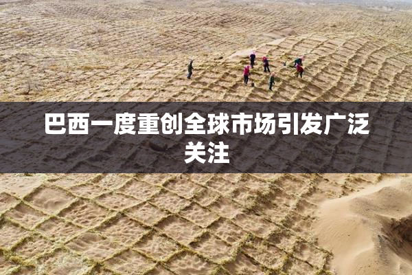 巴西一度重创全球市场引发广泛关注