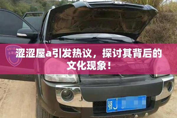 涩涩屋a引发热议，探讨其背后的文化现象！