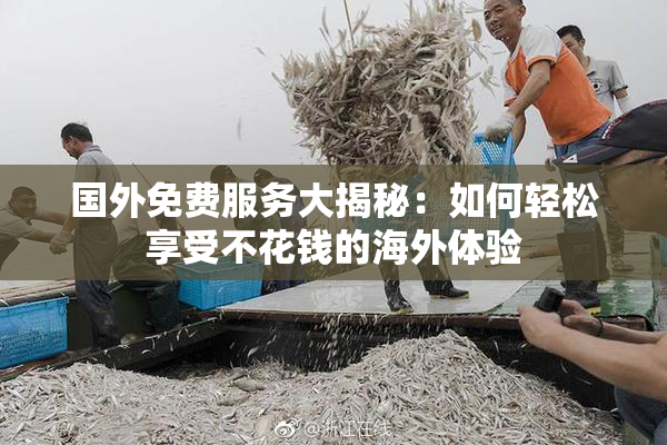 国外免费服务大揭秘：如何轻松享受不花钱的海外体验