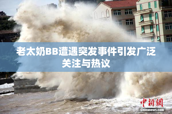 老太奶BB遭遇突发事件引发广泛关注与热议