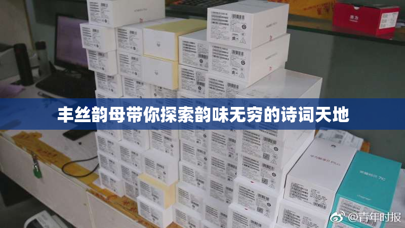 丰丝韵母带你探索韵味无穷的诗词天地