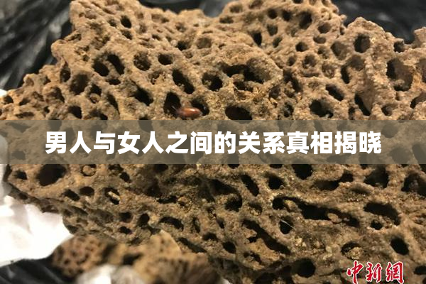 男人与女人之间的关系真相揭晓