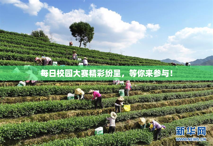 每日校园大赛精彩纷呈，等你来参与！