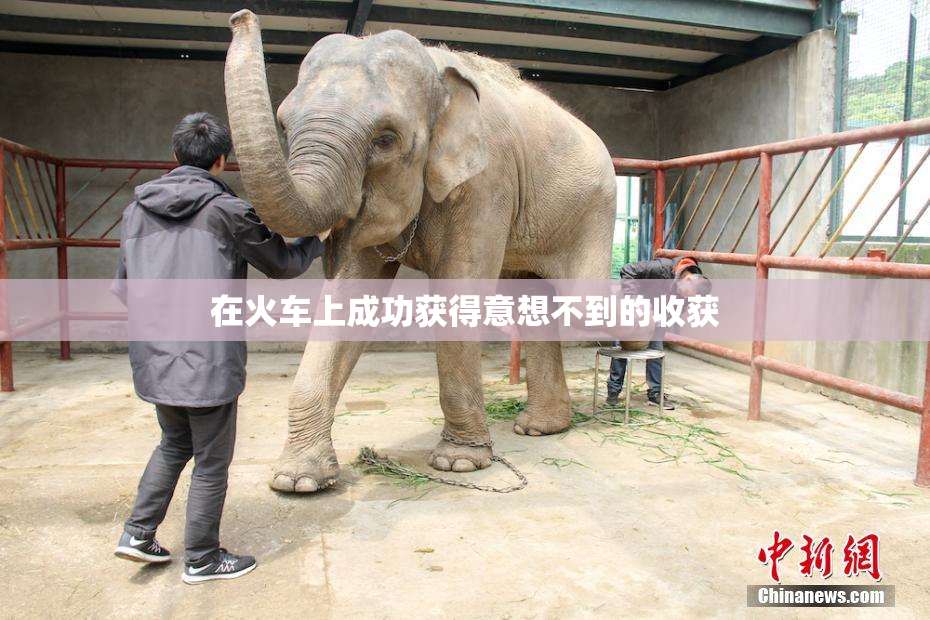 在火车上成功获得意想不到的收获