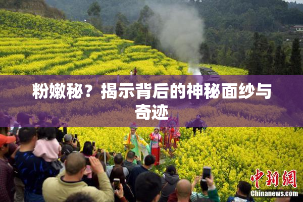粉嫩秘？揭示背后的神秘面纱与奇迹
