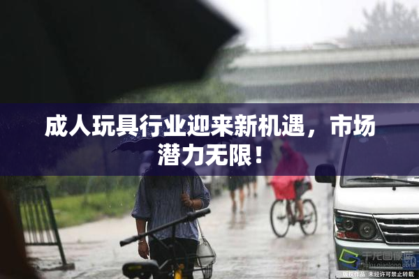 成人玩具行业迎来新机遇，市场潜力无限！