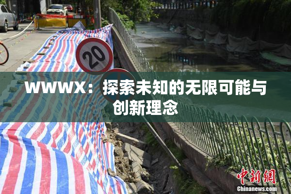 WWWX：探索未知的无限可能与创新理念