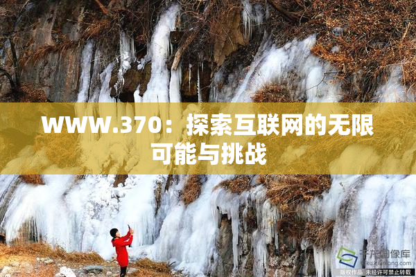 WWW.370：探索互联网的无限可能与挑战