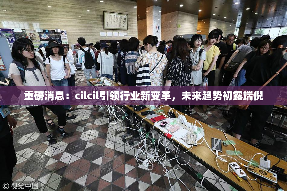 重磅消息：cilcil引领行业新变革，未来趋势初露端倪