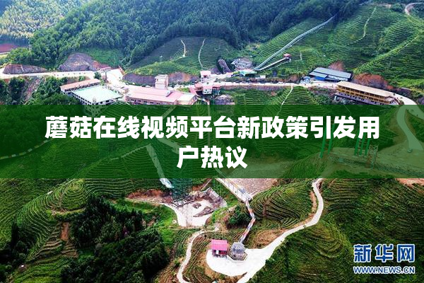 蘑菇在线视频平台新政策引发用户热议