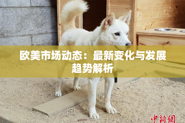 欧美市场动态：最新变化与发展趋势解析