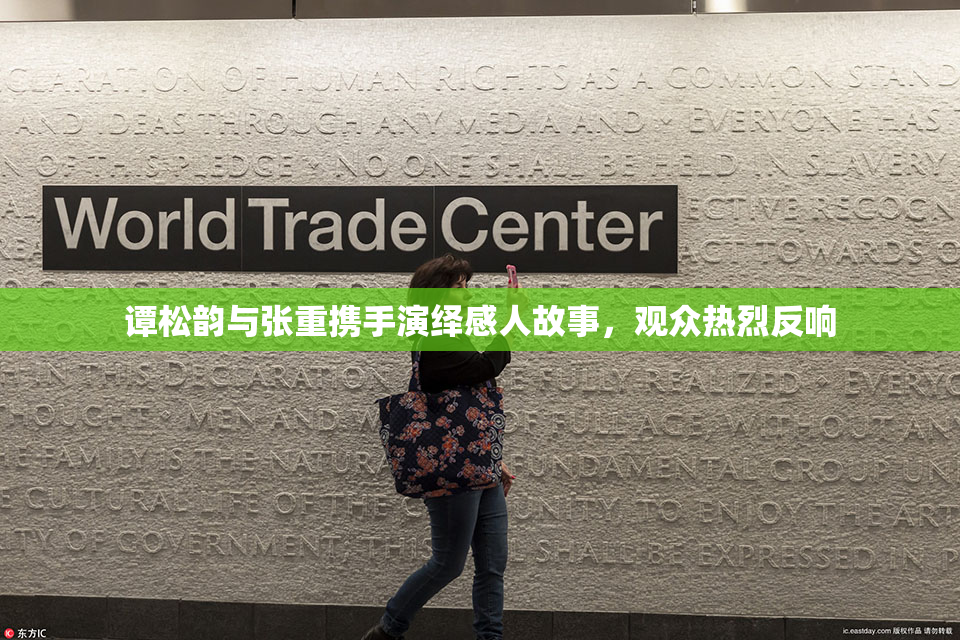 谭松韵与张重携手演绎感人故事，观众热烈反响