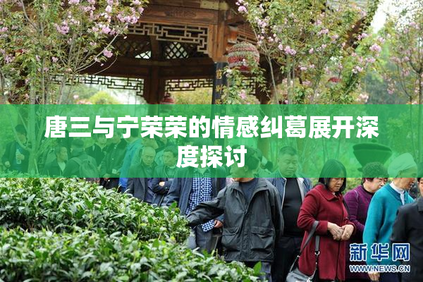唐三与宁荣荣的情感纠葛展开深度探讨